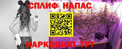 прущие грибы Туймазы