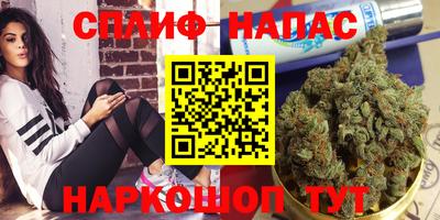 прущие грибы Туймазы