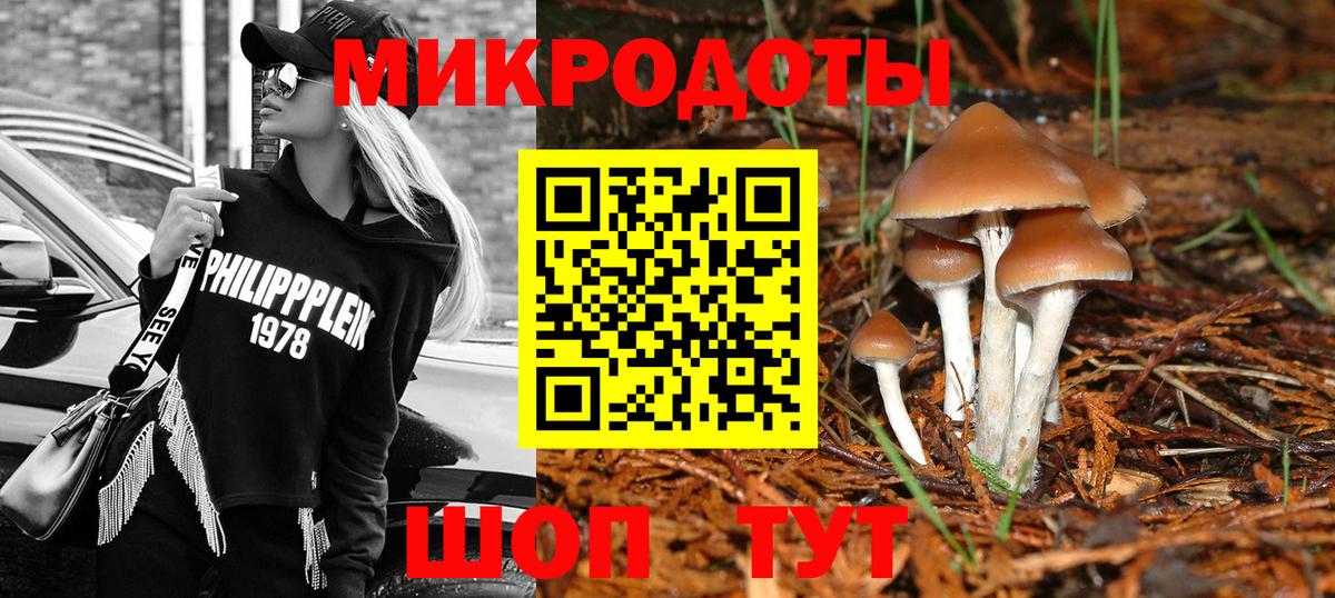 Псилоцибиновые грибы MAGIC MUSHROOMS Шарыпово
