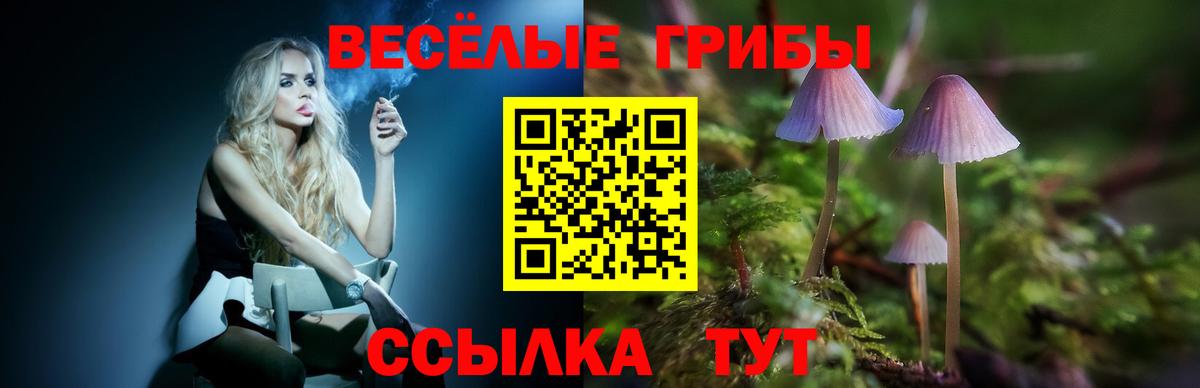 Псилоцибиновые грибы Cubensis  Псилоцибиновые грибы прущие грибы  Вход с VPN  Шарыпово 